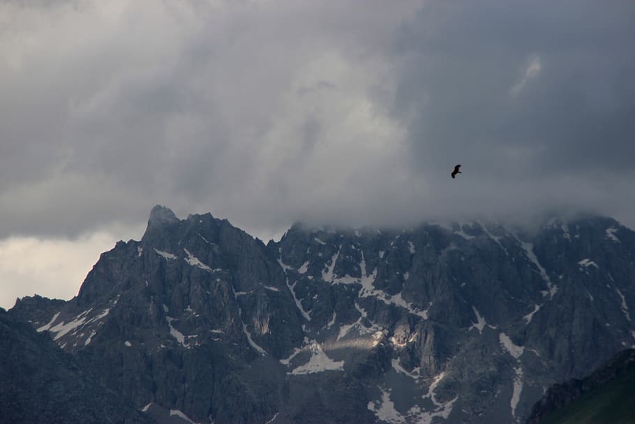 mountain, eagle, bird, animal themes, cloud - sky, vertebrate HD wallpaper