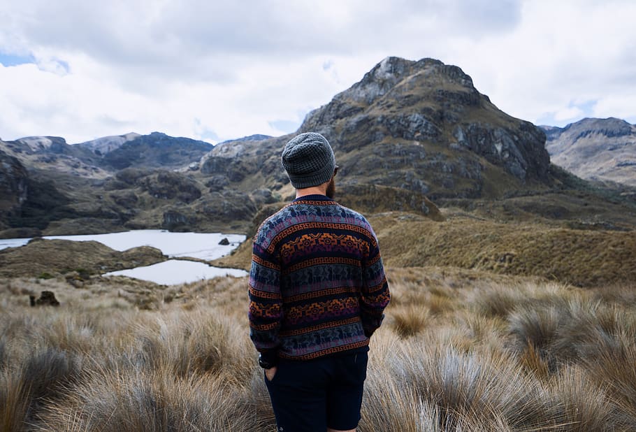 man in sweater and bermuda shorts stands in grass covered ground, HD wallpaper