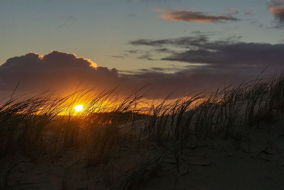 norderney, sun, clouds, sand beach, island, sea, sunrise, landscape, HD wallpaper