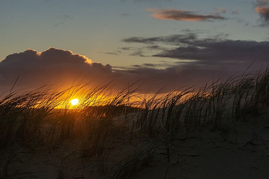 norderney, sun, clouds, sand beach, island, sea, sunrise, landscape HD wallpaper