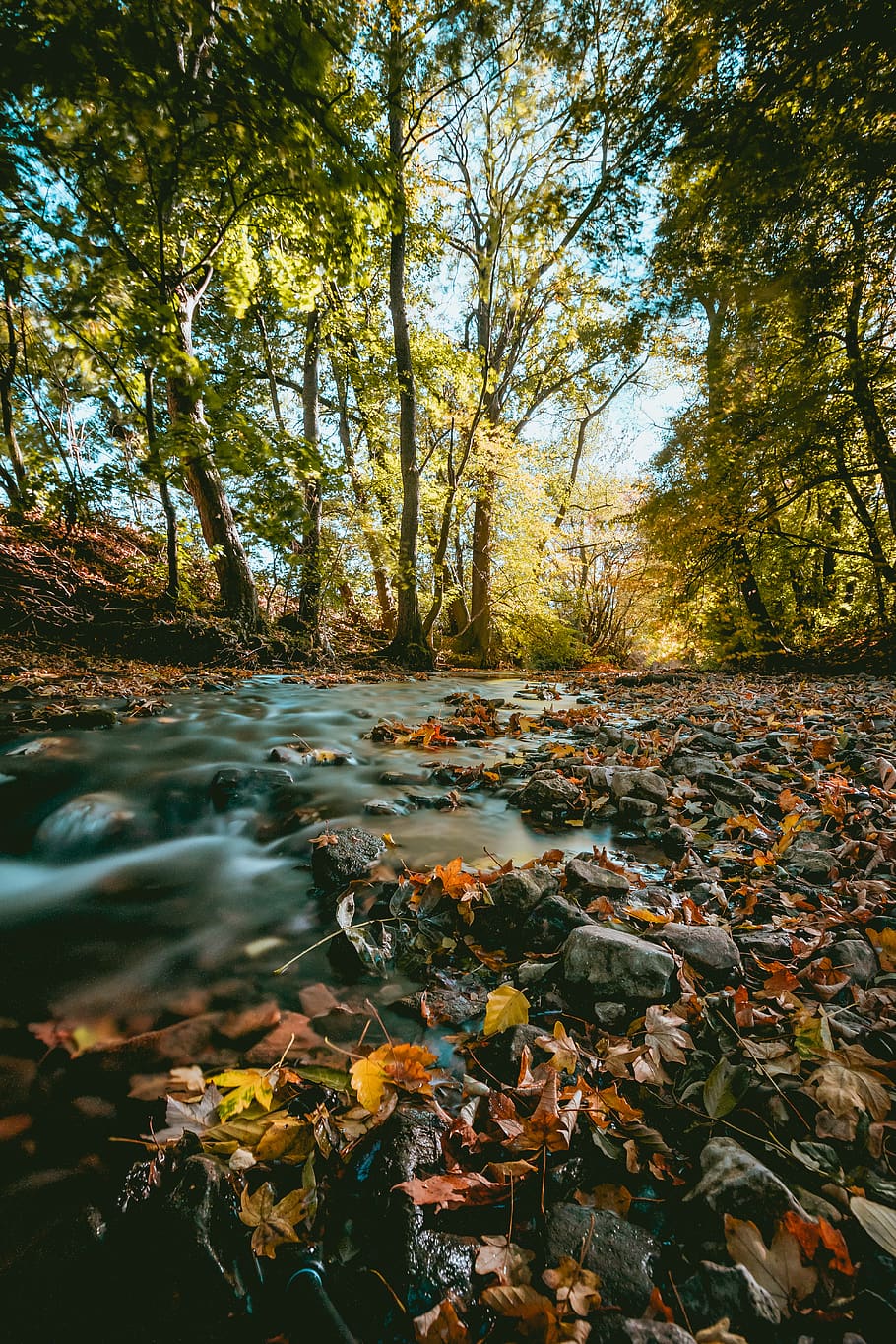 view of trees, water, creek, stream, outdoors, nature, scenery HD wallpaper