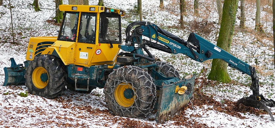 nature, forest, winter, snow, timber harvesting, wood back HD wallpaper