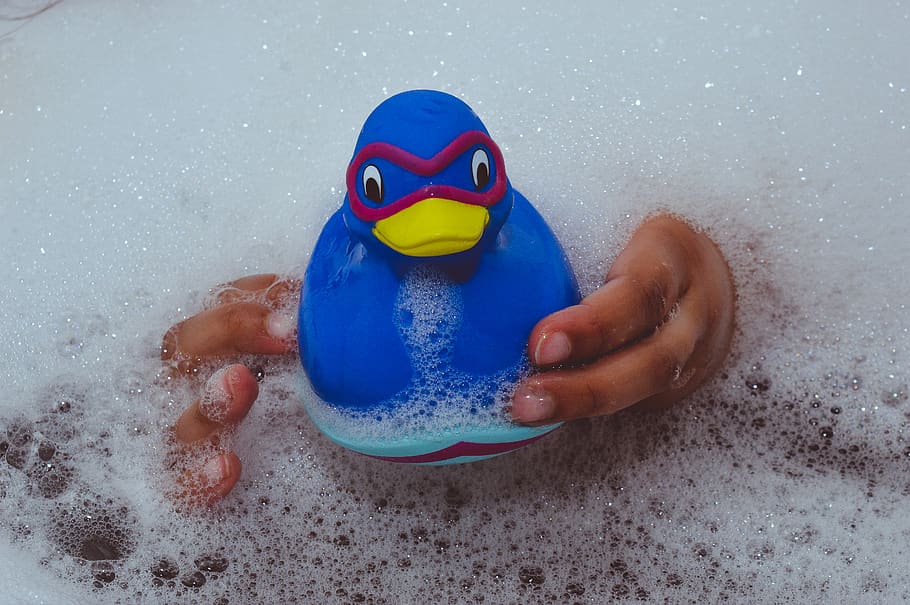 blue duck rubber, play, bubble, finger, tub, foam, toy, bathtub HD wallpaper