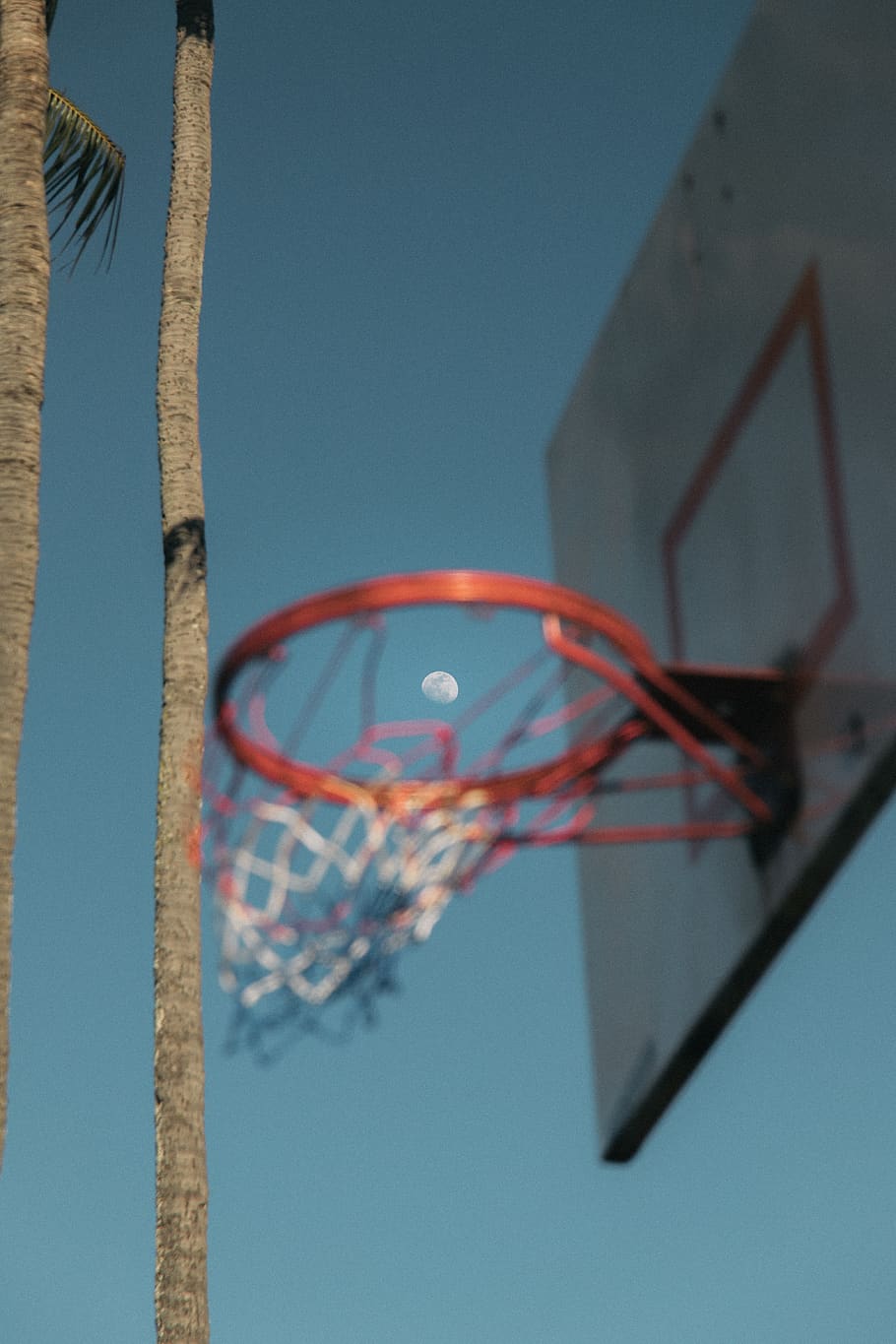 Blue Sky, hoop, sport, sports, tree, basketball, palm tree, outdoors HD wallpaper