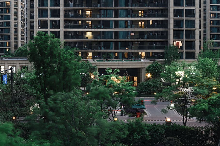 building, office building, plant, tree, urban, town, city, home decor HD wallpaper