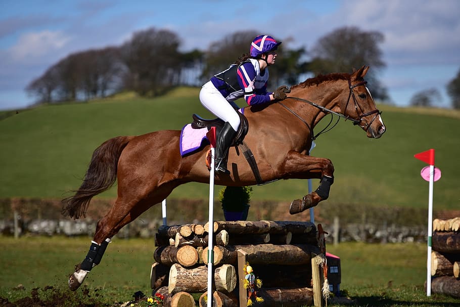 race, obstacle, human, activity, ride, riding, horse, domestic HD wallpaper