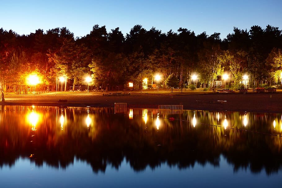 reflection, illuminated, tree, water, plant, lake, waterfront HD wallpaper