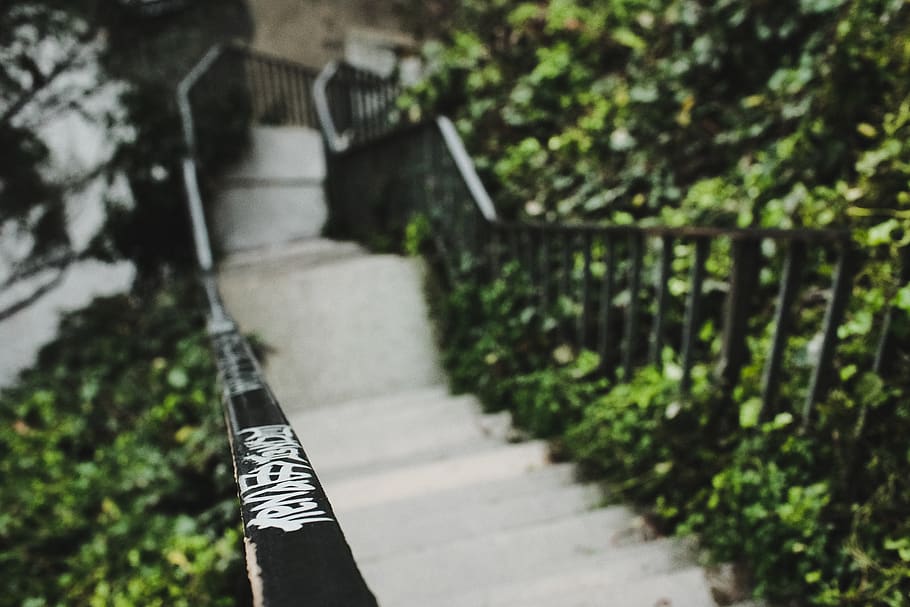 day, nature, tree, architecture, plant, railing, focus on foreground HD wallpaper