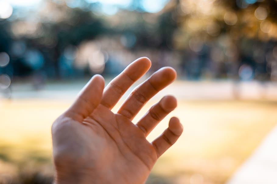 left person's hand, gainesville, united states, finger, cream HD wallpaper