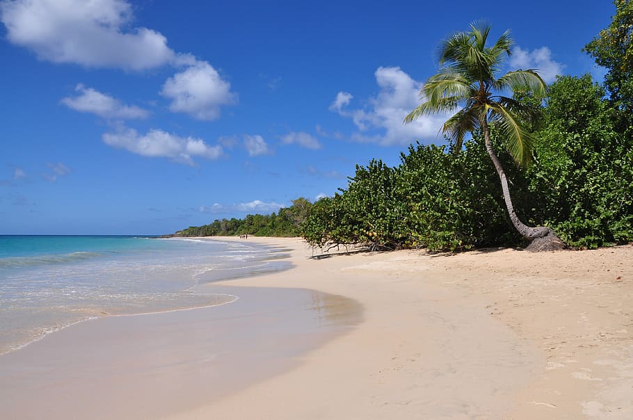 sand, beach, tropical, side, summer, sea, holiday, nature, water HD wallpaper