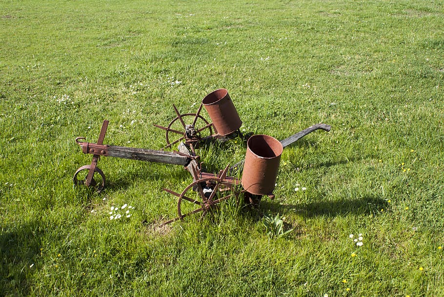 grass, plant, bicycle, vehicle, bike, transportation, rust HD wallpaper