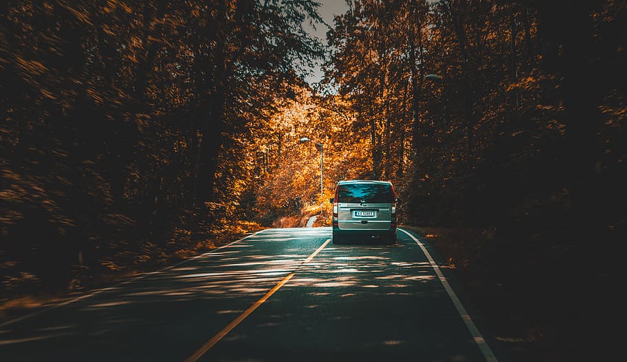 road, path, car, vehicle, trees, plant, nature, forest, travel HD wallpaper