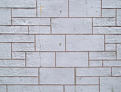 white painted brick wall, tile, rug, bird, animal, floor, stone wall HD wallpaper
