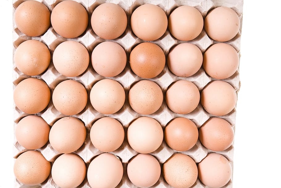 eggs, box, breakfast, brown, cardboard, carton, chicken, container, HD wallpaper