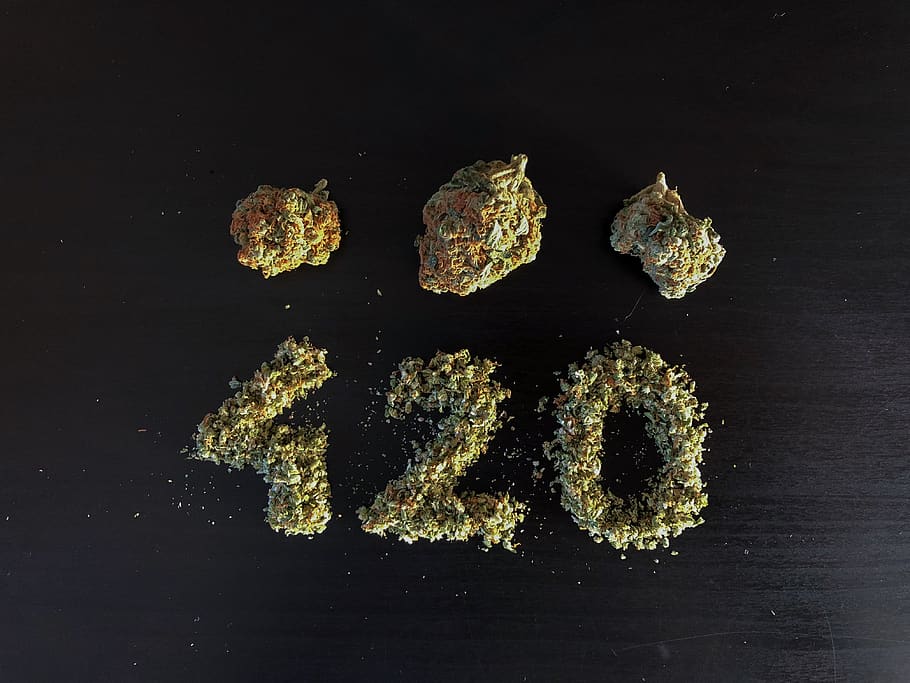 austria, vienna, marijuana, tree, weed, nugs, buds, 420, cannabis, HD wallpaper
