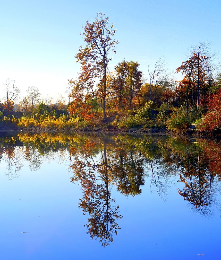 autumn, tree, lake, waters, reflection, tranquility, sky, plant HD wallpaper