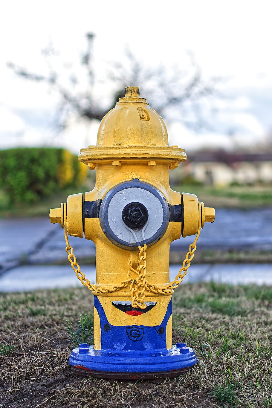 focus on foreground, day, no people, nature, water, binoculars HD wallpaper
