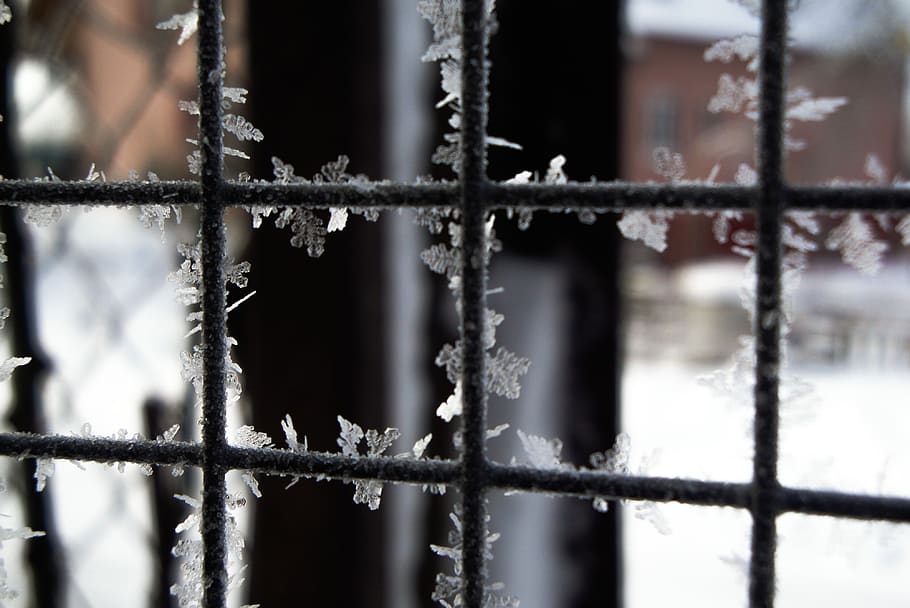 flakes, snow, winter, cold, landscape, crystals, fence, cold temperature HD wallpaper