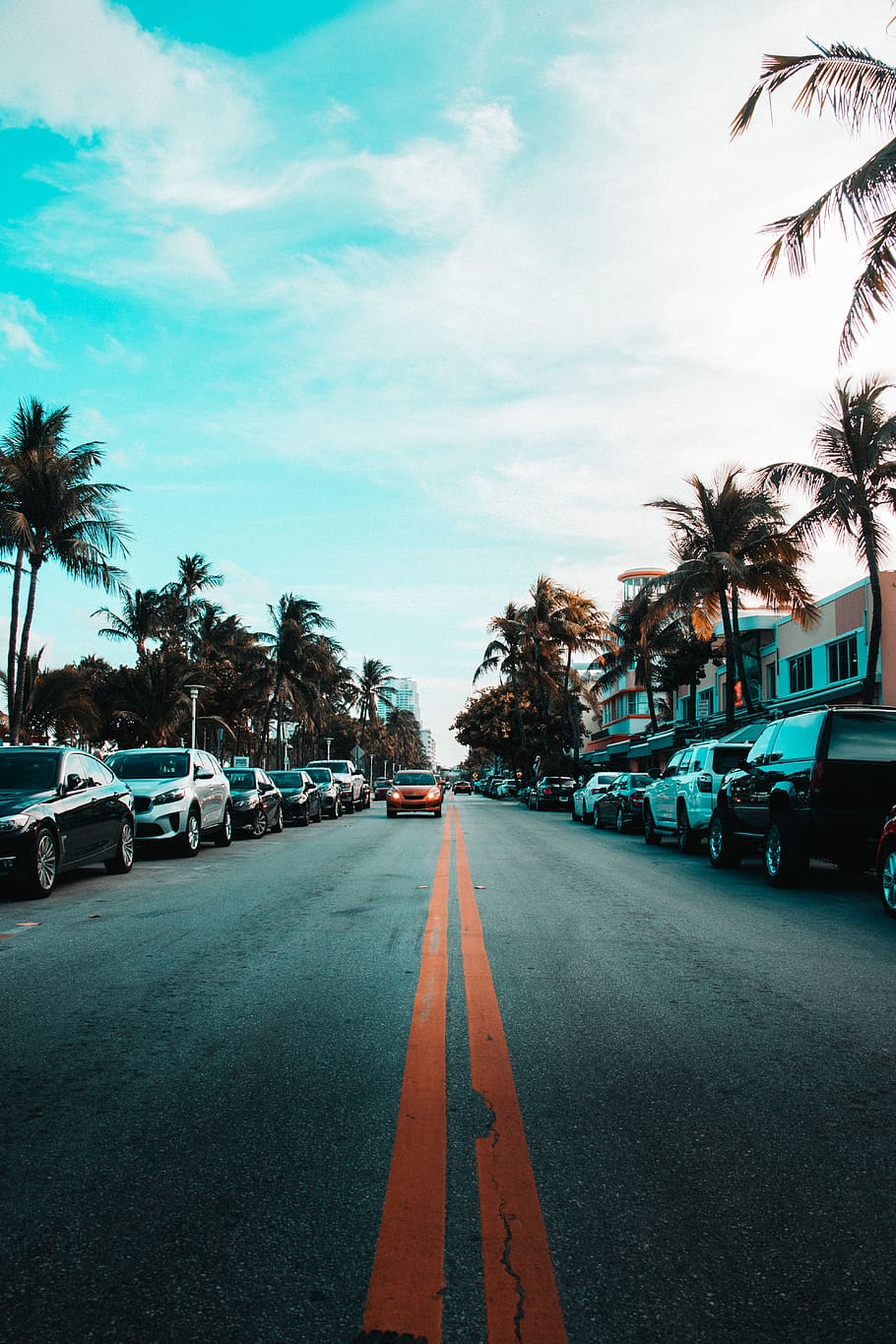 vehicles parked on road side, transportation, tree, motor vehicle HD wallpaper