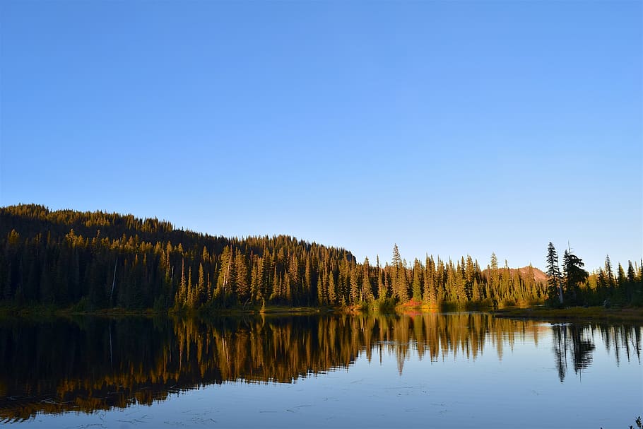 trees, lake, reflection, water, sunset, nature, natural, park HD wallpaper