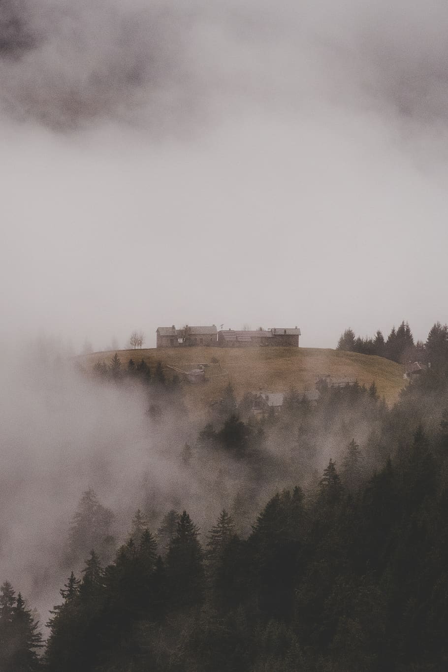 foggy morning, nature, weather, outdoors, mist, grey, tree, building HD wallpaper