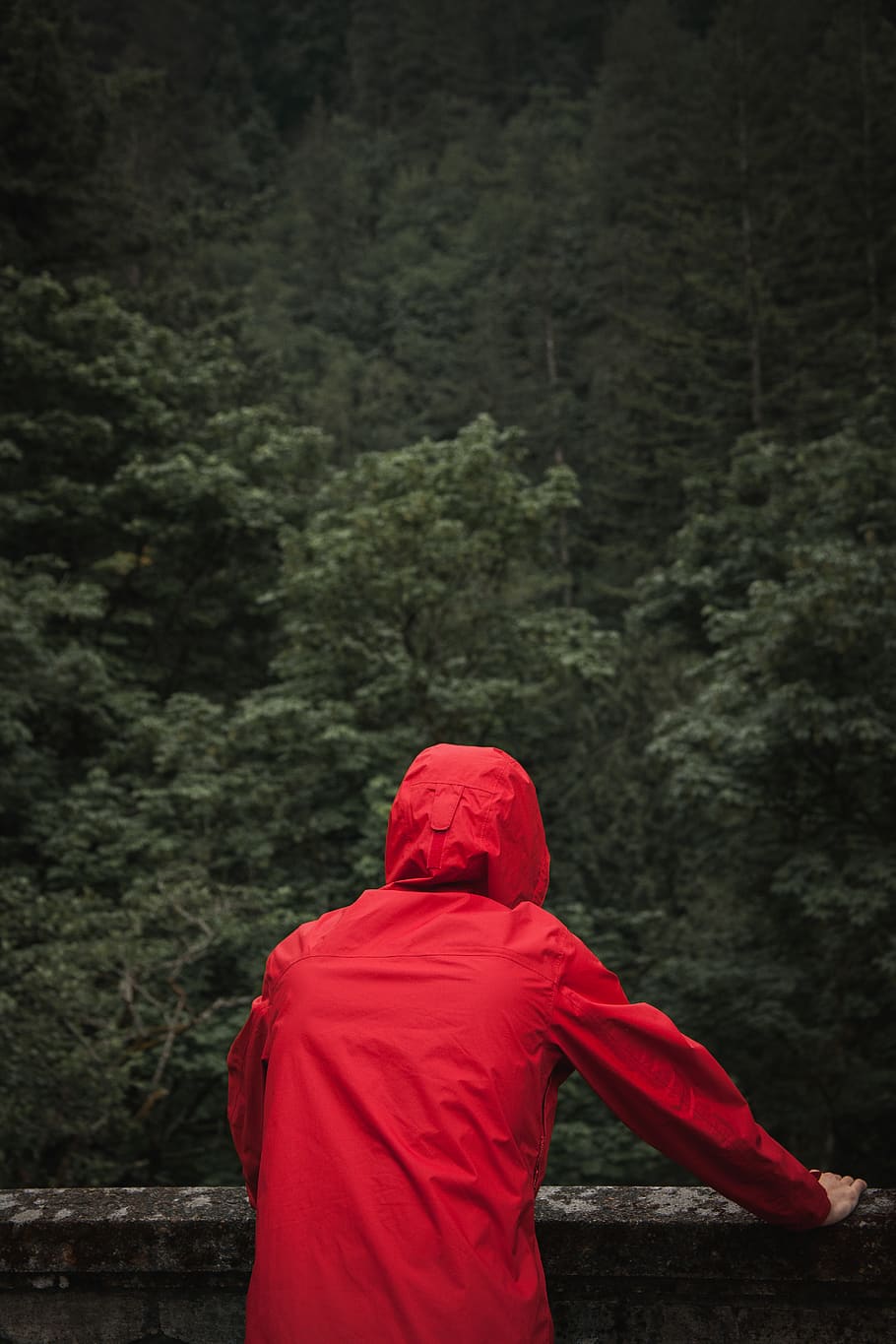 man, trees, jungle, forest, river, jacket, fashion, folk, red HD wallpaper