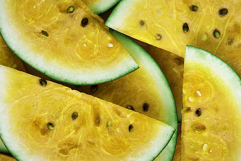 Sliced Watermelon Lot, background, bright, color, confection HD wallpaper