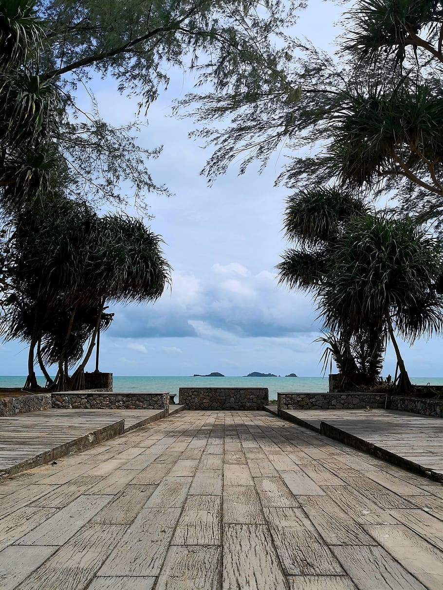 thailand, rayong, sky, tree, plant, wood - material, direction HD wallpaper