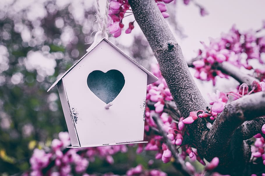 aviary, pink, cute, decor, tree, decorative, jewellery, postcard HD wallpaper