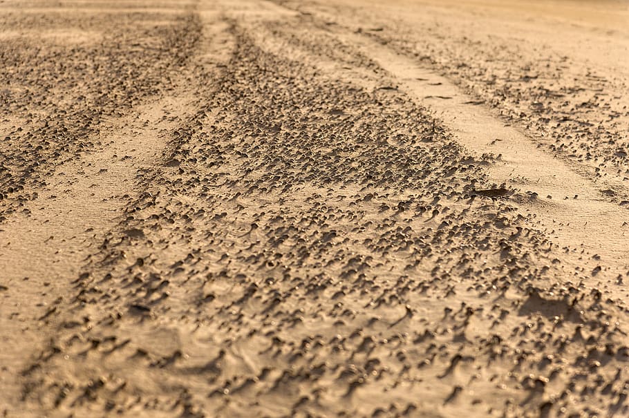 trace, sand, tire tracks, sea, sand beach, coast, wind, gone with the wind HD wallpaper