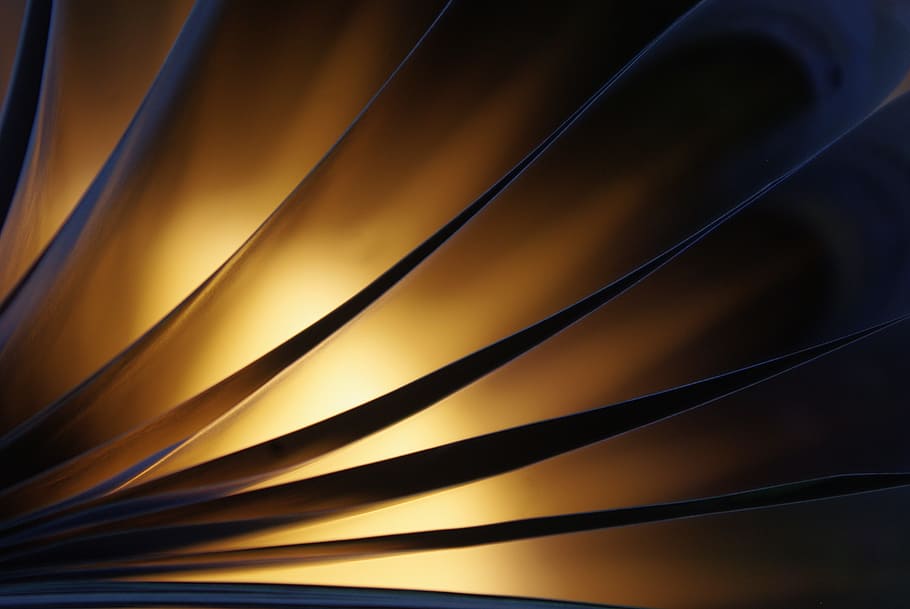 leaf, plant, tree, shine, shiny, backgrounds, abstract, pattern HD wallpaper