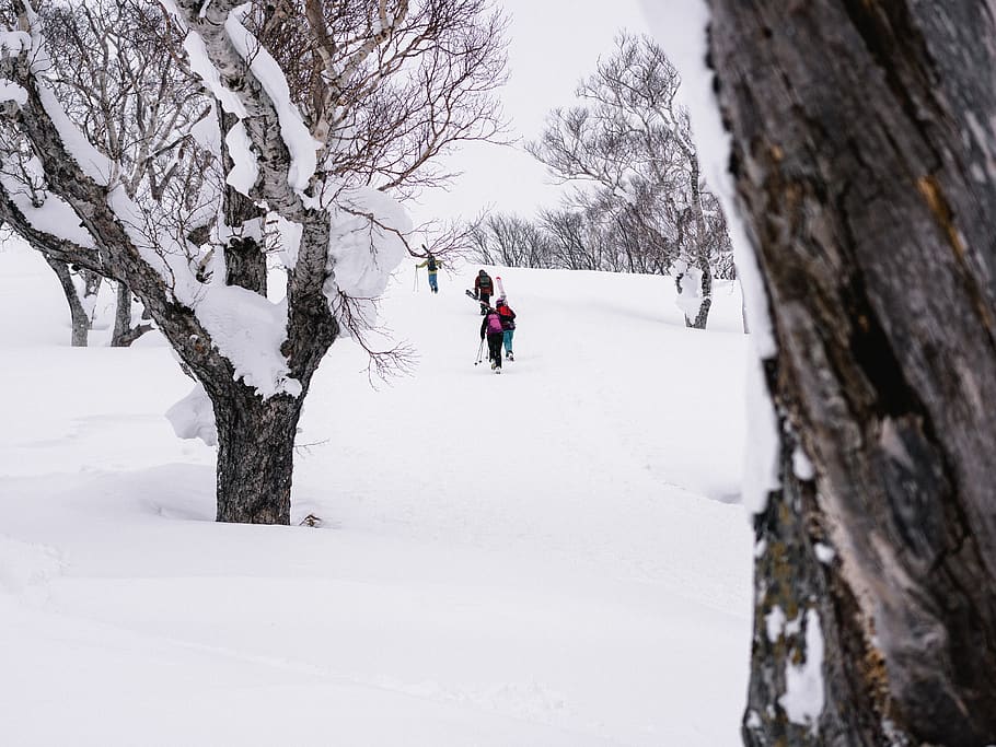 People Walking on Snow, adventure, blur, branches, cold, depth of field HD wallpaper