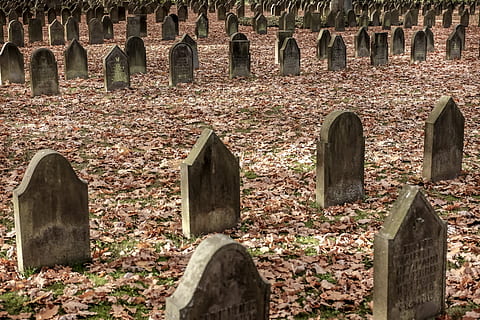 Military graveyard in Ohlsdorf Germany, background, blurred, cemetery HD wallpaper
