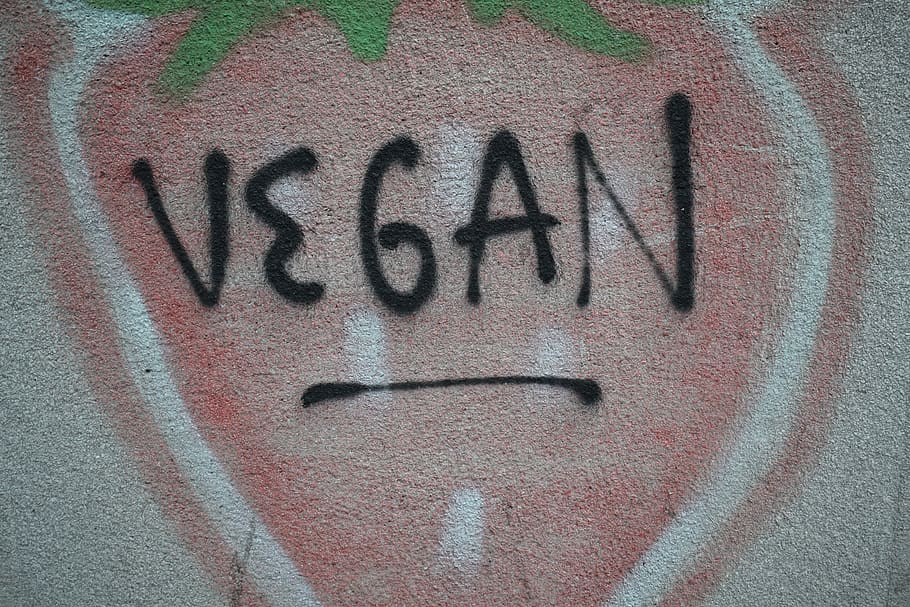 vegan text, communication, western script, graffiti, no people HD wallpaper