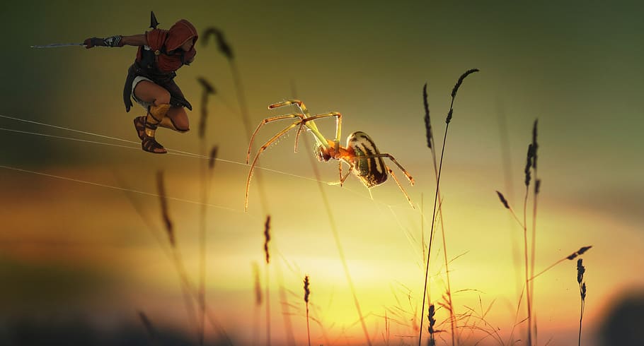 spider, fighter, web, insect, fantasy, sword, sunset, atmosphere HD wallpaper