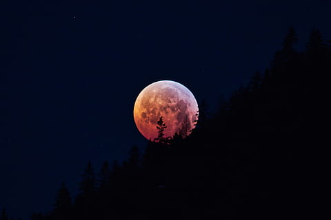 lunar eclipse, super moon, blood moon, moonlight, full moon HD wallpaper