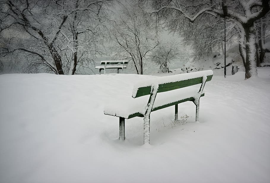 green bench covered with snow, winter, storm, nature, blizzard HD wallpaper