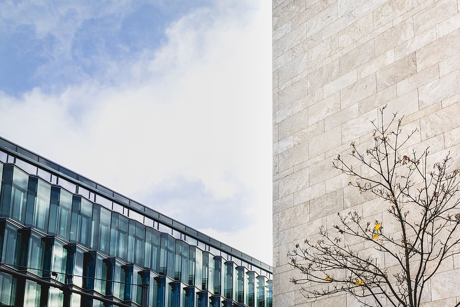germany, berlin, tree, stone, glasshouse, mirror, architecture HD wallpaper