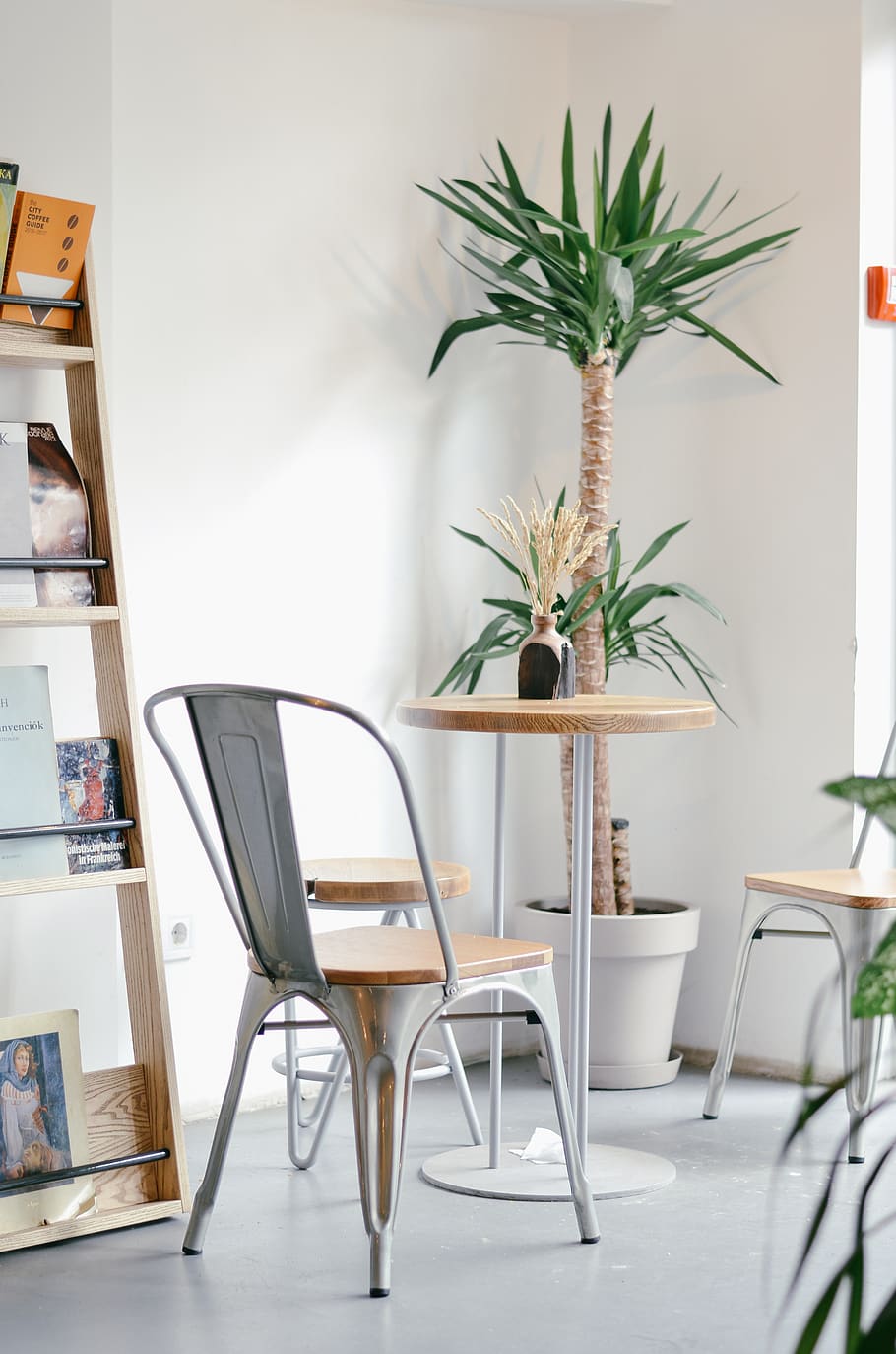gray steel chairs, potted plant, pottery, jar, vase, flora, furniture HD wallpaper