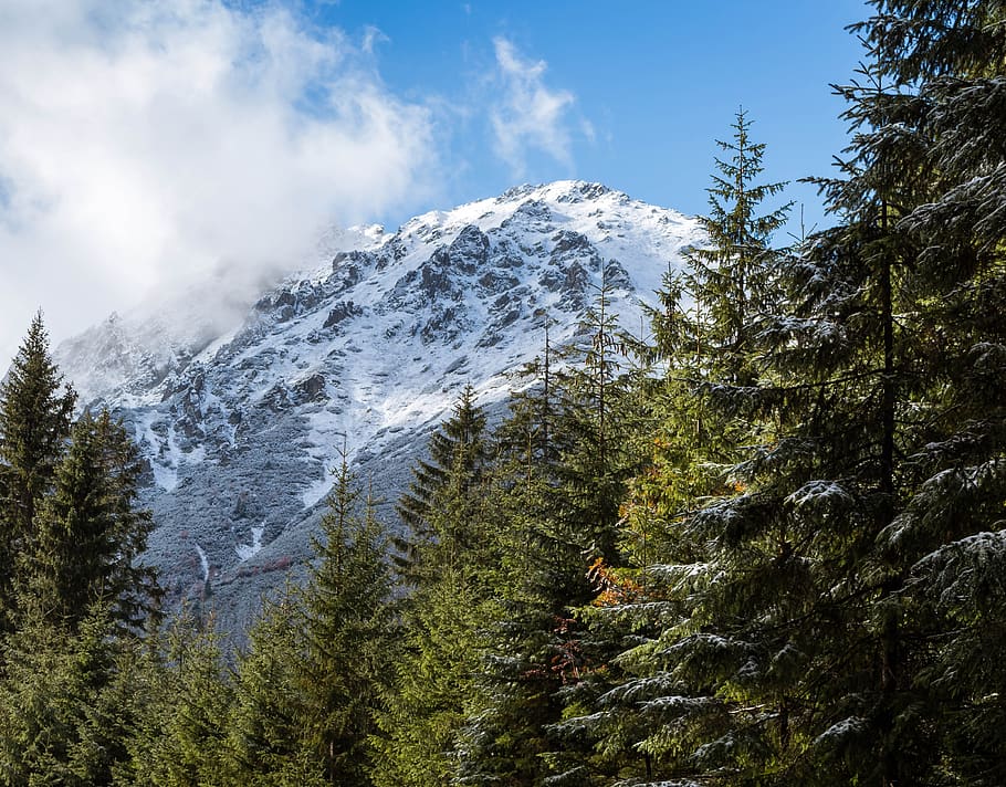 mountains, tatry, snow, landscape, beauty in nature, plant HD wallpaper