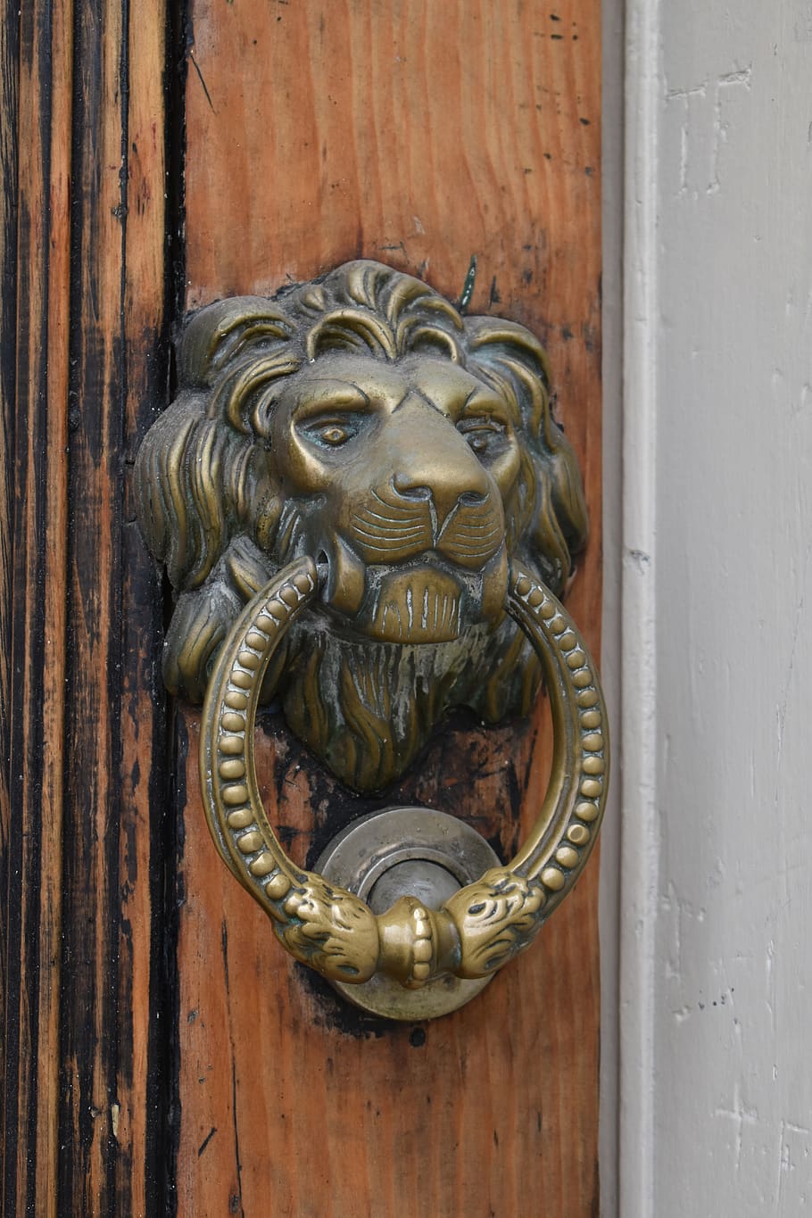 lion, door, doorknocker, old, metal, wood, handle, ornament, HD wallpaper