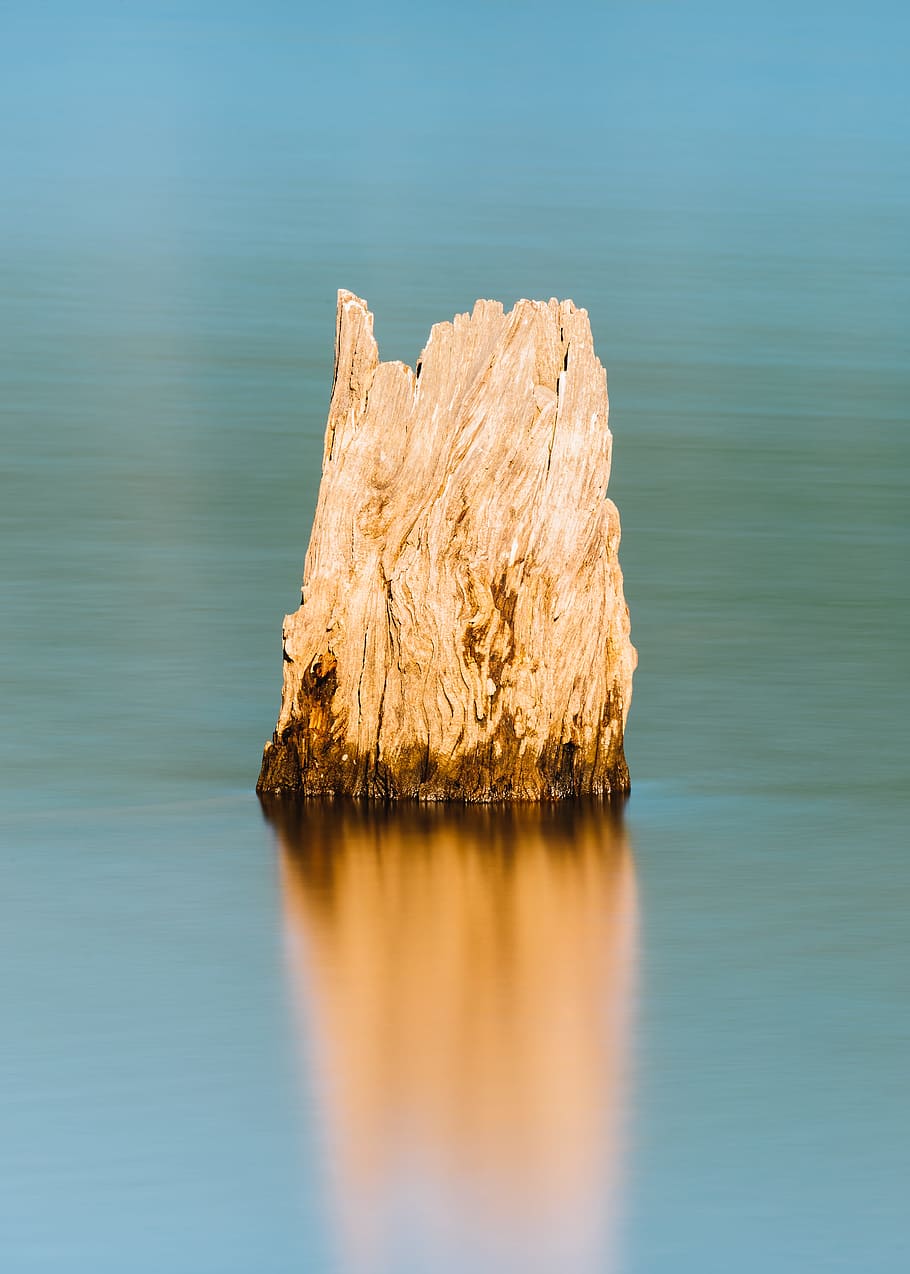 brown rock formation on body of water, long exposure, bark, tree stump HD wallpaper