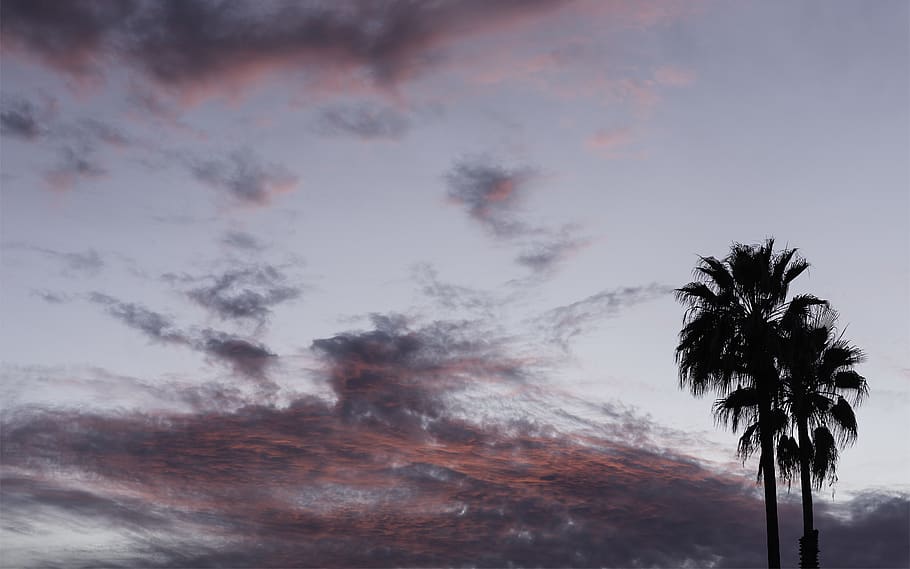 HD wallpaper: united states, inglewood, tree, sky, clouds, california ...