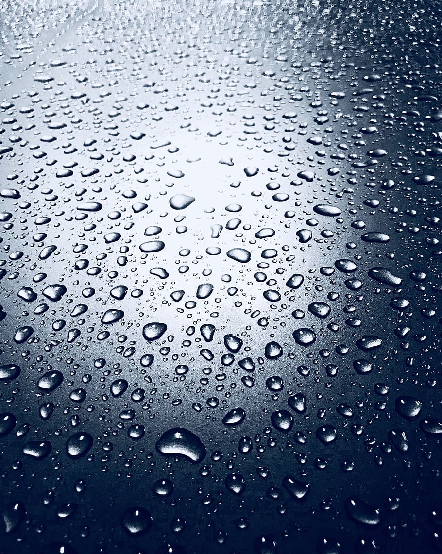 rain, wet, pearl, bubble, cleaner, droplets, water, clear, backgrounds HD wallpaper