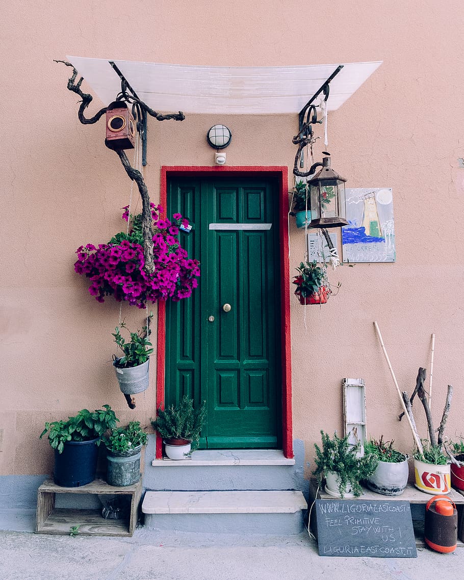 closed green wooden door, plant, potted plant, architecture, built structure HD wallpaper