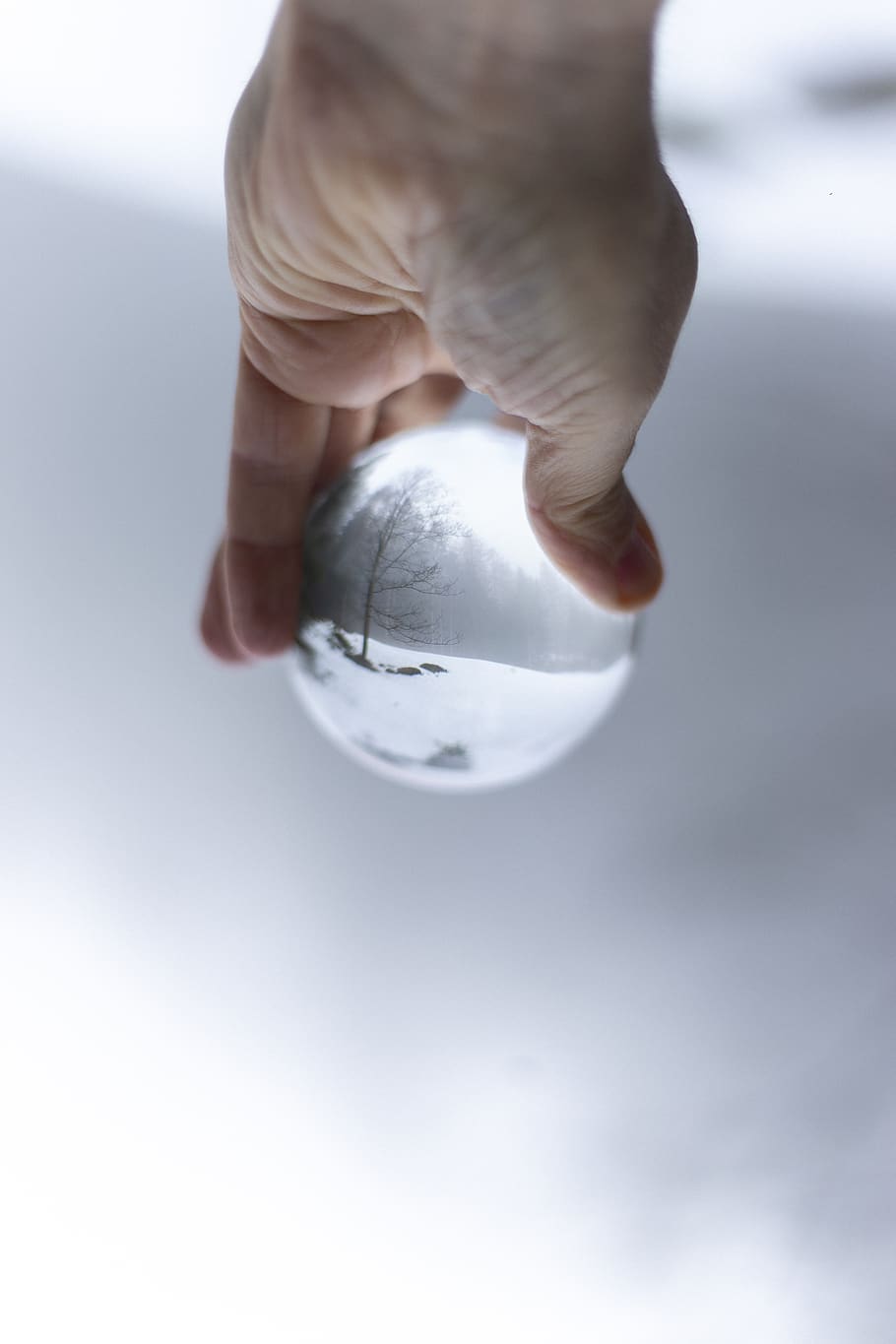 Photo of Person Holding Lensball, blur, branches, close-up, crystal ball HD wallpaper
