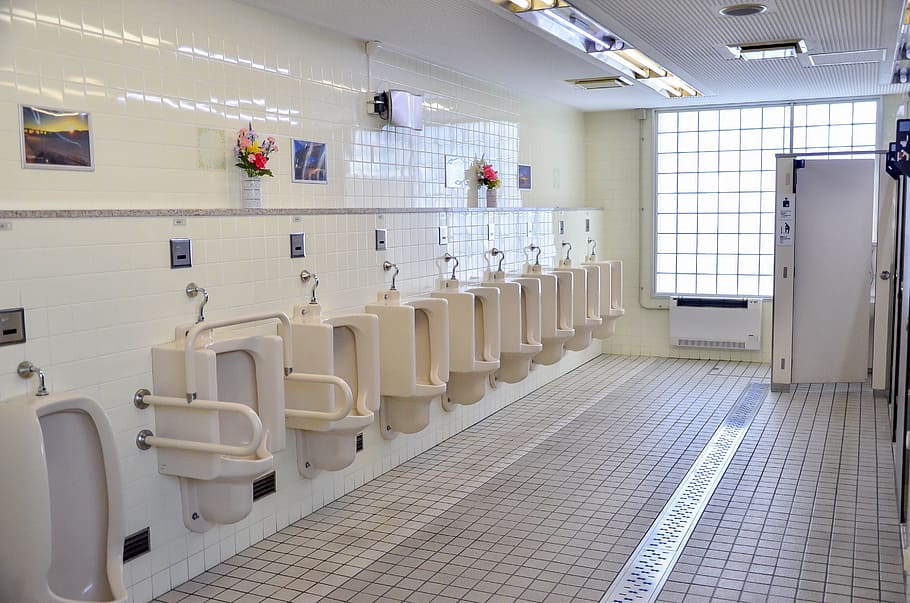 Japan Toilet Interior, Public Restroom, bathroom, wc, washroom