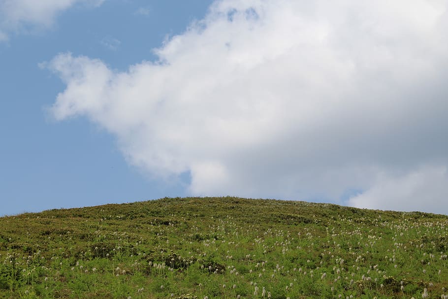 grass, sky, clouds, nature, landscape, summer, green, outdoor HD wallpaper