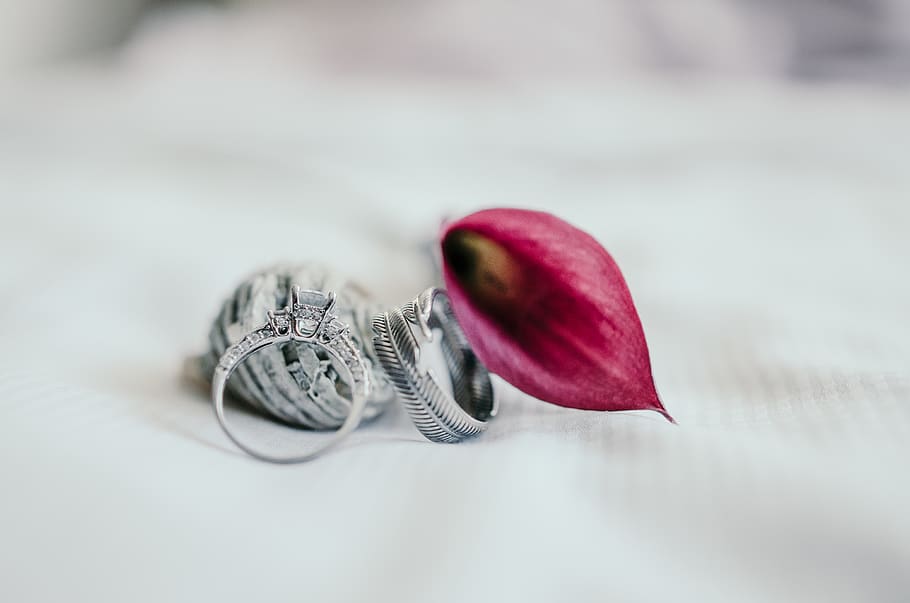 silver-colored ring beside pink flower, petal, norway, blur, engagment HD wallpaper