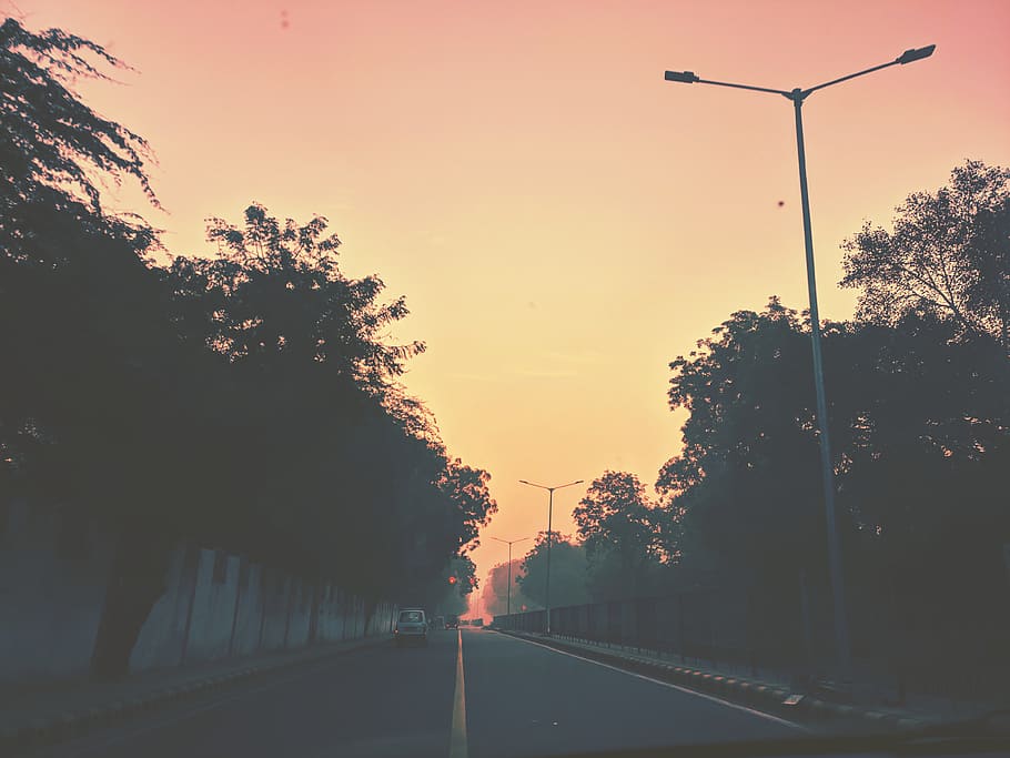 tree, sky, plant, sunset, road, street, nature, no people, transportation HD wallpaper